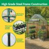 imageMiracleGRO 23quot x 17quot x 57quot 4Tier IndoorOutdoor Mini Greenhouse Plant Tent AllSeason Compact Plant Growth Accelerator with PVC Cover and RollUp Zipper Door Clear48 x 29 x 65  2025 Model