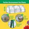 imageMiracleGRO 23quot x 17quot x 57quot 4Tier IndoorOutdoor Mini Greenhouse Plant Tent AllSeason Compact Plant Growth Accelerator with PVC Cover and RollUp Zipper Door Clear3 x 8 x 3  2025 Model