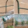 imageMiracleGRO 23quot x 17quot x 57quot 4Tier IndoorOutdoor Mini Greenhouse Plant Tent AllSeason Compact Plant Growth Accelerator with PVC Cover and RollUp Zipper Door Clear3 x 8 x 3