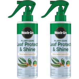 imageMiracleGro Plant Care Leaf Protect and Shine 4in1 Insecticide Miticide Fungicide and Leaf Shine Spray for Indoor Plants 8 fl oz 2Pack