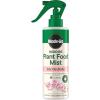 imageMiracleGro Indoor Plant Food Mist for Orchids Orchid Plant Food 8 fl oz 2Pack