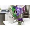 image:imageMiracleGro African Violet Potting Mix 8qt 2Pack8 QT