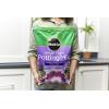 image:imageMiracleGro African Violet Potting Mix 8qt 2Pack8 QT 8Pack
