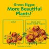 image:imageMiracleGro Garden Soil All Purpose Bulk Pallet for InGround Use Feeds up to 3 Months Amends Vegetable Flower and Plant Beds 075 cu ft Bags Pallet of 85Pallet