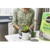 image:imageMiracleGro Perlite  Enriched with Plant Food Improves Drainage and Aeration in Potting Soil Mixes For Container Plants 8 qt 2Pack1 Pack