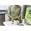 image:imageMiracleGro Perlite  Enriched with Plant Food Improves Drainage and Aeration in Potting Soil Mixes For Container Plants 8 qt 2Pack3 Pack