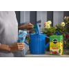 image:imageMiracleGro Water Soluble All Purpose Plant Food  Fertilizer for All Indoor or Outdoor Plants Including Roses Flowers Vegetables Houseplants Trees and Shrubs 125 lbs3 lb