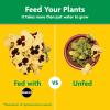image:imageMiracleGro Water Soluble All Purpose Plant Food  Fertilizer for All Indoor or Outdoor Plants Including Roses Flowers Vegetables Houseplants Trees and Shrubs 125 lbs5 lb