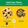 image:imageMiracleGro Water Soluble All Purpose Plant Food  Fertilizer for All Indoor or Outdoor Plants Including Roses Flowers Vegetables Houseplants Trees and Shrubs 125 lbs15 lb