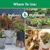 image:imageMiracleGro Water Soluble All Purpose Plant Food  Fertilizer for All Indoor or Outdoor Plants Including Roses Flowers Vegetables Houseplants Trees and Shrubs 125 lbs625 lb