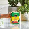 image:imageMiracleGro Water Soluble All Purpose Plant Food  Fertilizer for All Indoor or Outdoor Plants Including Roses Flowers Vegetables Houseplants Trees and Shrubs 125 lbs15 lb