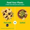 image:imageMiracleGro Water Soluble All Purpose Plant Food  Fertilizer for All Indoor or Outdoor Plants Including Roses Flowers Vegetables Houseplants Trees and Shrubs 125 lbs3 lb