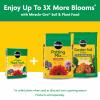 image:imageMiracleGro Water Soluble All Purpose Plant Food  Fertilizer for All Indoor or Outdoor Plants Including Roses Flowers Vegetables Houseplants Trees and Shrubs 125 lbs10 lb Pack of 4