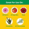 image:imageMiracleGro Water Soluble All Purpose Plant Food  Fertilizer for All Indoor or Outdoor Plants Including Roses Flowers Vegetables Houseplants Trees and Shrubs 125 lbs3 lb
