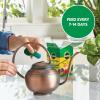 image:imageMiracleGro Water Soluble All Purpose Plant Food  Fertilizer for All Indoor or Outdoor Plants Including Roses Flowers Vegetables Houseplants Trees and Shrubs 125 lbs15 lb