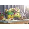 image:imageMiracleGro Water Soluble All Purpose Plant Food  Fertilizer for All Indoor or Outdoor Plants Including Roses Flowers Vegetables Houseplants Trees and Shrubs 125 lbs3 lb