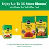image:imageMiracleGro Water Soluble All Purpose Plant Food  Fertilizer for All Indoor or Outdoor Plants Including Roses Flowers Vegetables Houseplants Trees and Shrubs 125 lbs5 lb