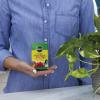 image:imageMiracleGro Water Soluble All Purpose Plant Food  Fertilizer for All Indoor or Outdoor Plants Including Roses Flowers Vegetables Houseplants Trees and Shrubs 125 lbs5 lb