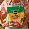 image:imageMiracleGro Water Soluble All Purpose Plant Food  Fertilizer for All Indoor or Outdoor Plants Including Roses Flowers Vegetables Houseplants Trees and Shrubs 125 lbs55 lb