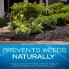 image:imageScotts Nature Scapes Color Enhanced Mulch Deep Forest Brown  Wood Shredded and Bagged Brown Landscaping Mulch Bulk Mulch Pallet  15 cu ft Bags Pallet of 80Red