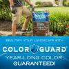 image:imageScotts Nature Scapes Color Enhanced Mulch Deep Forest Brown  Wood Shredded and Bagged Brown Landscaping Mulch Bulk Mulch Pallet  15 cu ft Bags Pallet of 80Brown