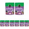 image:imageMiracleGro African Violet Potting Mix 8qt 2Pack8 QT 8Pack