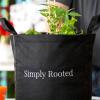 image:imageGardenuity Simply Rooted Garden  Vegetable and Herb Garden Kit with Live Tomato or Pepper Plant Bonnie Plants MiracleGro Pour amp Feed Plant Food amp 5Gallon Grow BagVeggie Garden