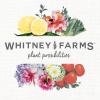 image:imageWhitney Farms Organic Potting Soil  Natural Indoor and Outdoor Container Mix Organic Potting Soil for Vegetables Herbs and Flowers Feeds Plants up to 2 Months 8 qtAlfalfa Meal