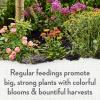 image:imageWhitney Farms Organic Potting Soil  Natural Indoor and Outdoor Container Mix Organic Potting Soil for Vegetables Herbs and Flowers Feeds Plants up to 2 Months 8 qtKelp Meal