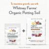 image:imageWhitney Farms Organic Potting Soil  Natural Indoor and Outdoor Container Mix Organic Potting Soil for Vegetables Herbs and Flowers Feeds Plants up to 2 Months 8 qtAll Purpose