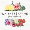 image:imageWhitney Farms Organic Potting Soil  Natural Indoor and Outdoor Container Mix Organic Potting Soil for Vegetables Herbs and Flowers Feeds Plants up to 2 Months 8 qt8 QT