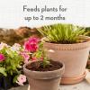 image:imageWhitney Farms Organic Potting Soil  Natural Indoor and Outdoor Container Mix Organic Potting Soil for Vegetables Herbs and Flowers Feeds Plants up to 2 Months 8 qt16 QT