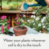 image:imageWhitney Farms Organic Potting Soil  Natural Indoor and Outdoor Container Mix Organic Potting Soil for Vegetables Herbs and Flowers Feeds Plants up to 2 Months 8 qt8 QT