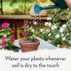 image:imageWhitney Farms Organic Potting Soil  Natural Indoor and Outdoor Container Mix Organic Potting Soil for Vegetables Herbs and Flowers Feeds Plants up to 2 Months 8 qt16 QT