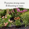 image:imageWhitney Farms Organic Potting Soil  Natural Indoor and Outdoor Container Mix Organic Potting Soil for Vegetables Herbs and Flowers Feeds Plants up to 2 Months 8 qtAlfalfa Meal