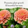 image:imageWhitney Farms Organic Potting Soil  Natural Indoor and Outdoor Container Mix Organic Potting Soil for Vegetables Herbs and Flowers Feeds Plants up to 2 Months 8 qtAll Purpose