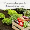 image:imageWhitney Farms Organic Potting Soil  Natural Indoor and Outdoor Container Mix Organic Potting Soil for Vegetables Herbs and Flowers Feeds Plants up to 2 Months 8 qtTomato  Vegetable