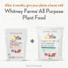 image:imageWhitney Farms Organic Potting Soil  Natural Indoor and Outdoor Container Mix Organic Potting Soil for Vegetables Herbs and Flowers Feeds Plants up to 2 Months 8 qt8 QT