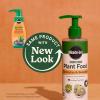 image:imageMiracleGro Organic Indoor Plant Food Liquid Plant Food for Houseplants Flowers Vegetables and Herbs 1051 NPK 8 fl oz 2PackCactus  Succulent