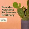 image:imageMiracleGro Organic Indoor Plant Food Liquid Plant Food for Houseplants Flowers Vegetables and Herbs 1051 NPK 8 fl oz 2PackCactus  Succulent