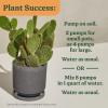 image:imageMiracleGro Organic Indoor Plant Food Liquid Plant Food for Houseplants Flowers Vegetables and Herbs 1051 NPK 8 fl oz 2PackCactus  Succulent