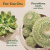 image:imageMiracleGro Organic Indoor Plant Food Liquid Plant Food for Houseplants Flowers Vegetables and Herbs 1051 NPK 8 fl oz 2PackCactus  Succulent