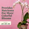 image:imageMiracleGro Organic Indoor Plant Food Liquid Plant Food for Houseplants Flowers Vegetables and Herbs 1051 NPK 8 fl oz 2PackOrchid Mist