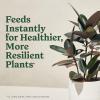 image:imageMiracleGro Organic Indoor Plant Food Liquid Plant Food for Houseplants Flowers Vegetables and Herbs 1051 NPK 8 fl oz 2PackOrganic Houseplant