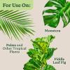 image:imageMiracleGro Organic Indoor Plant Food Liquid Plant Food for Houseplants Flowers Vegetables and Herbs 1051 NPK 8 fl oz 2PackTropical