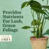 image:imageMiracleGro Organic Indoor Plant Food Liquid Plant Food for Houseplants Flowers Vegetables and Herbs 1051 NPK 8 fl oz 2PackTropical