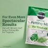 image:imageMiracleGro Organic Indoor Plant Food Liquid Plant Food for Houseplants Flowers Vegetables and Herbs 1051 NPK 8 fl oz 2PackTropical