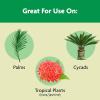 image:imageMiracleGro Palm Tree Food Plant Food for Deep Green Faster Growing Foliage with Slow Release Nitrogen 20 lbs