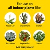 image:imageHouseplant Food 84oz Pack of 31 Pack