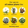 image:imageHouseplant Food 84oz Pack of 32 Pack
